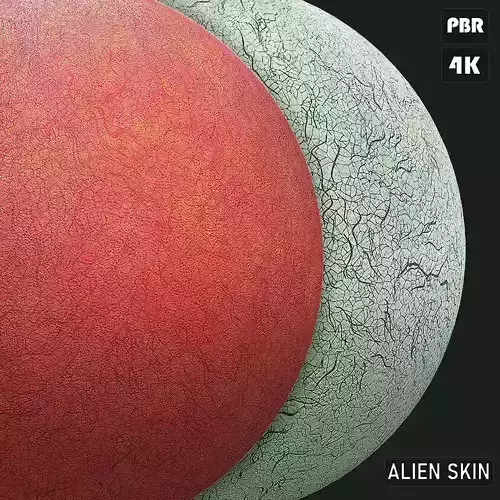 PBR Aline Skin Texture