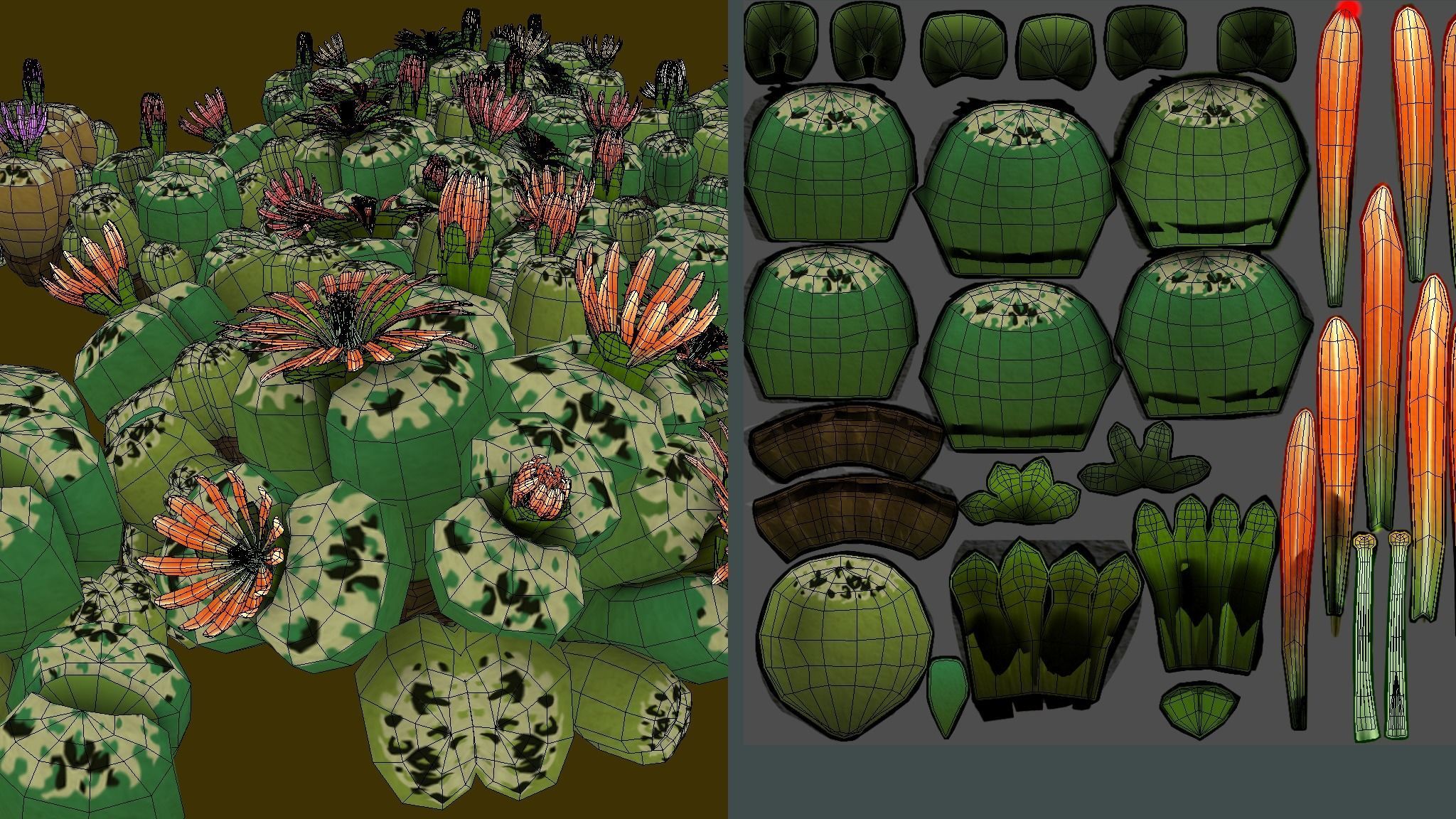 Flower Lithops 3D model_2