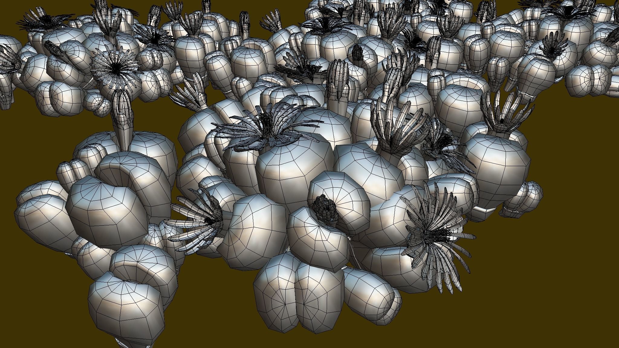 Flower Lithops 3D model_3