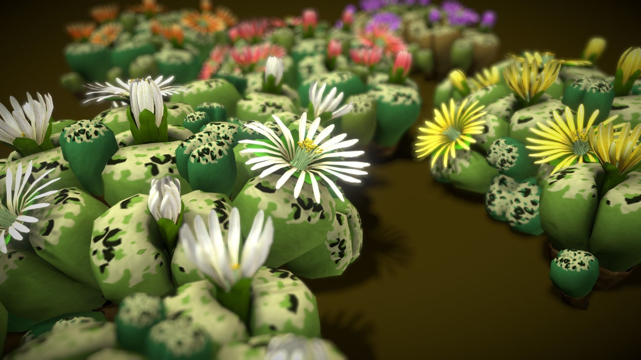 Flower Lithops 3D model_9