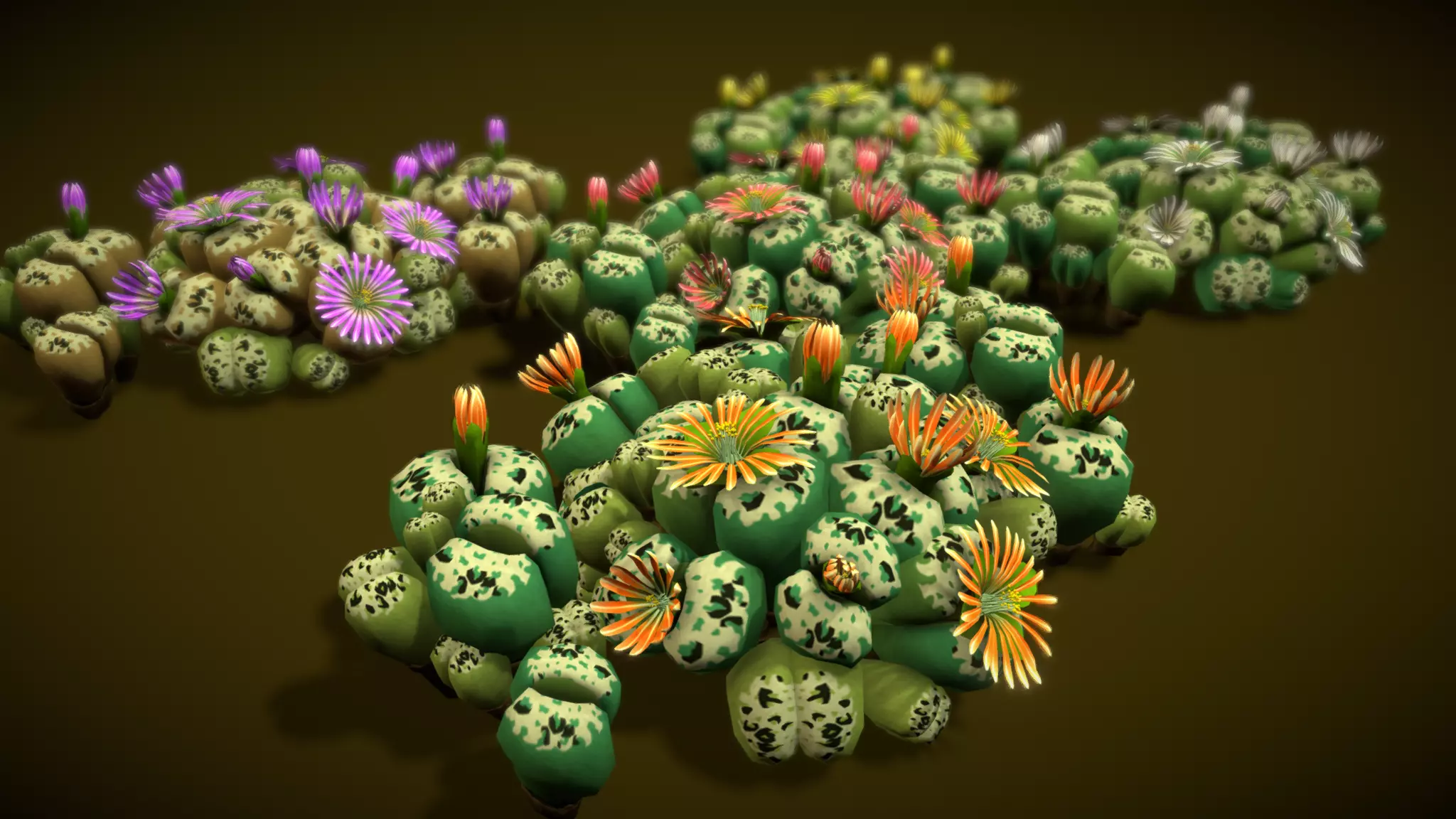 Flower Lithops 3D model_0