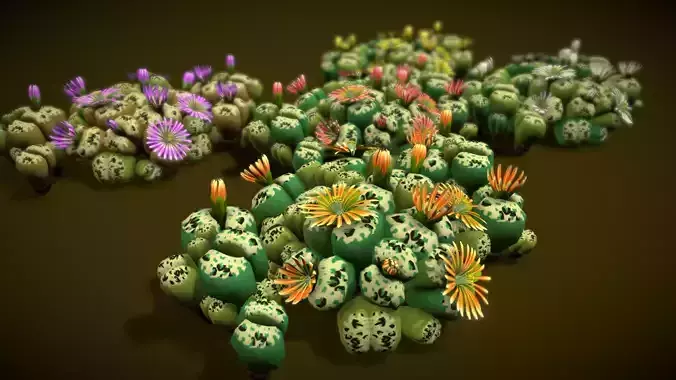 Flower Lithops 3D model