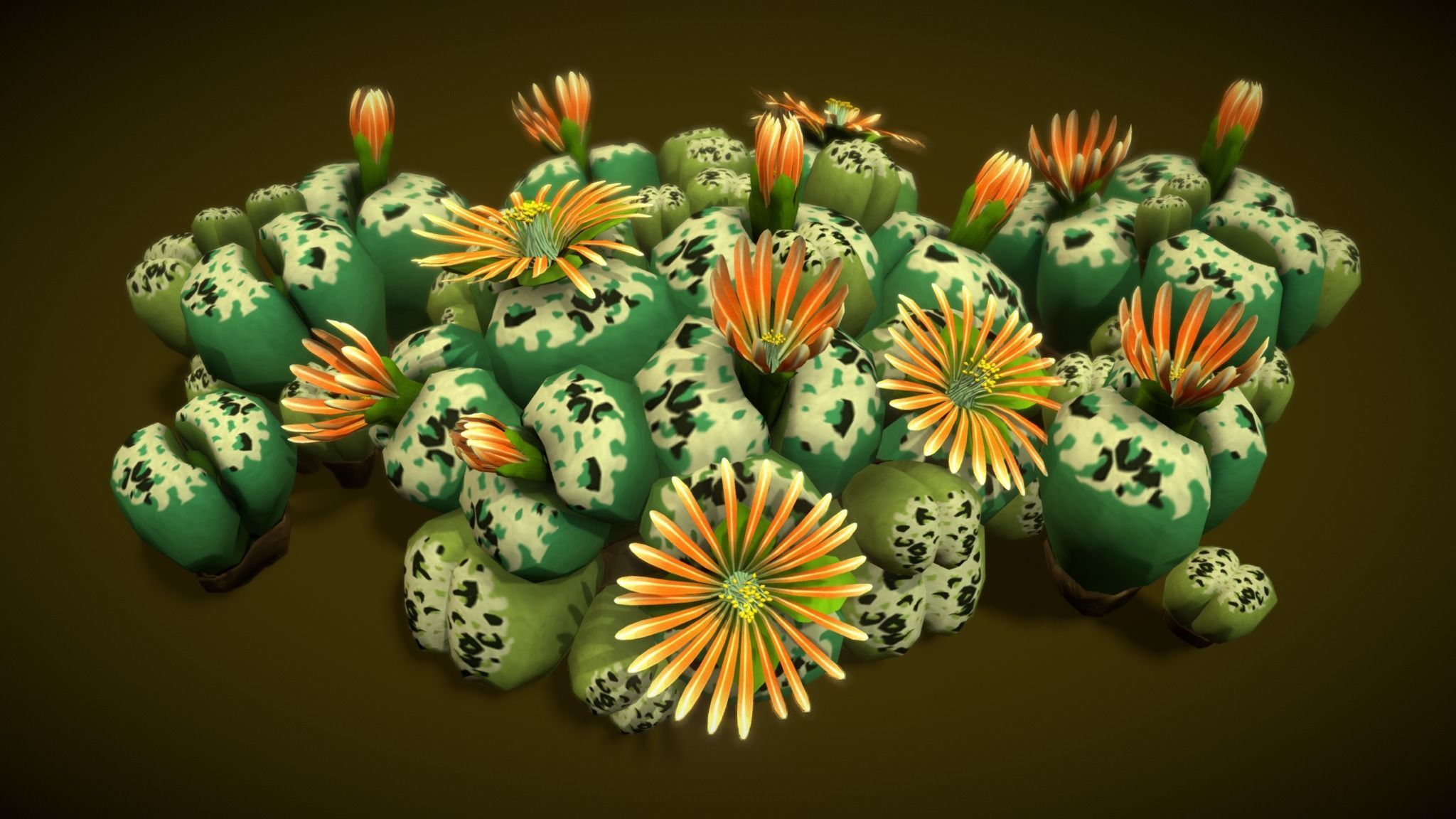 Flower Lithops 3D model_5