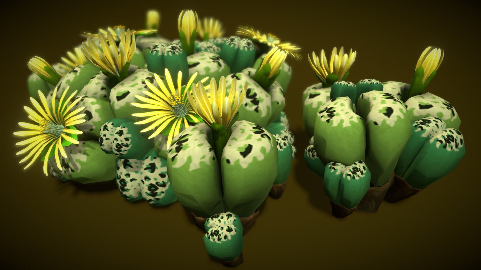 Flower Lithops 3D model_7