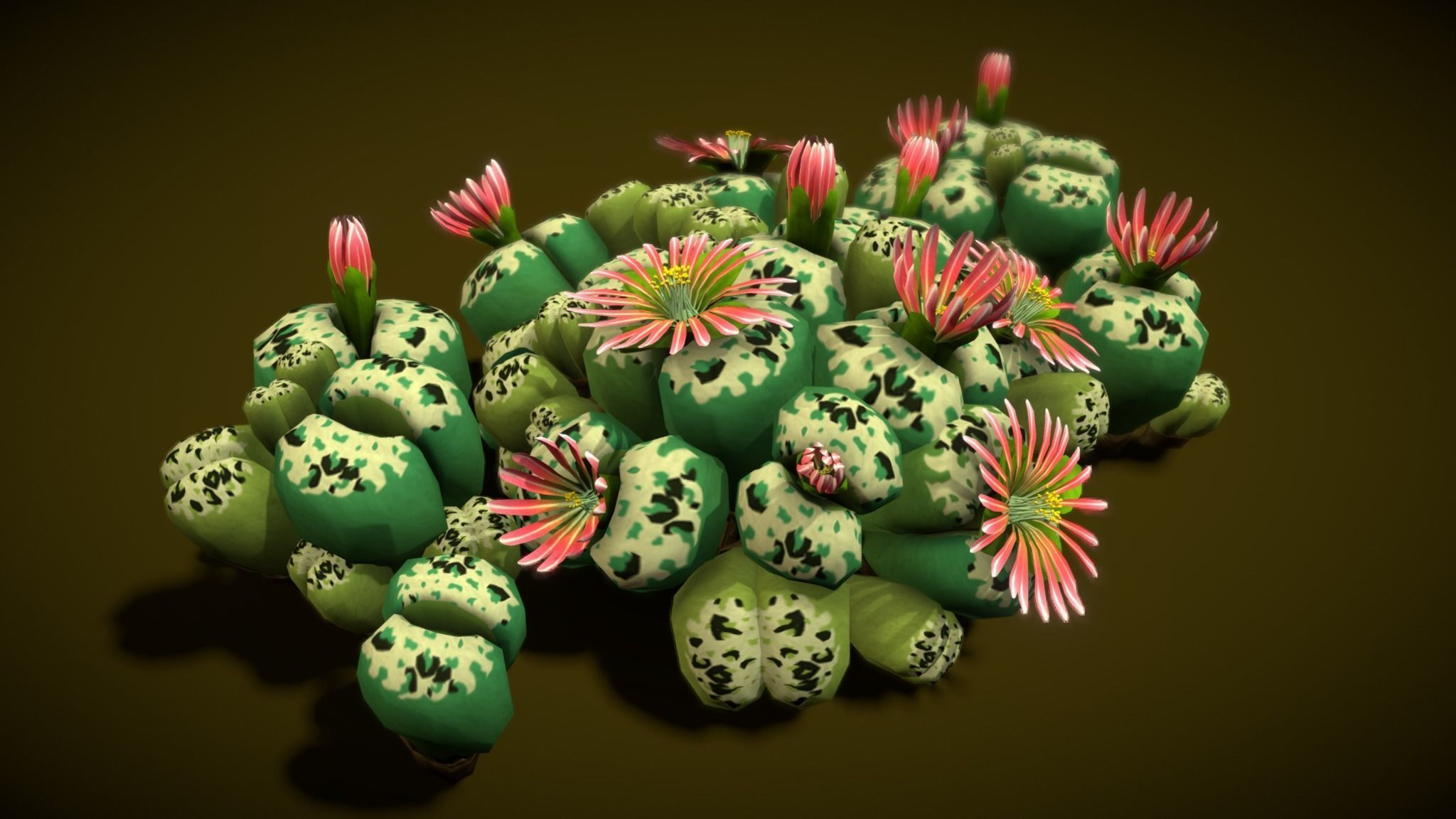 Flower Lithops 3D model_4