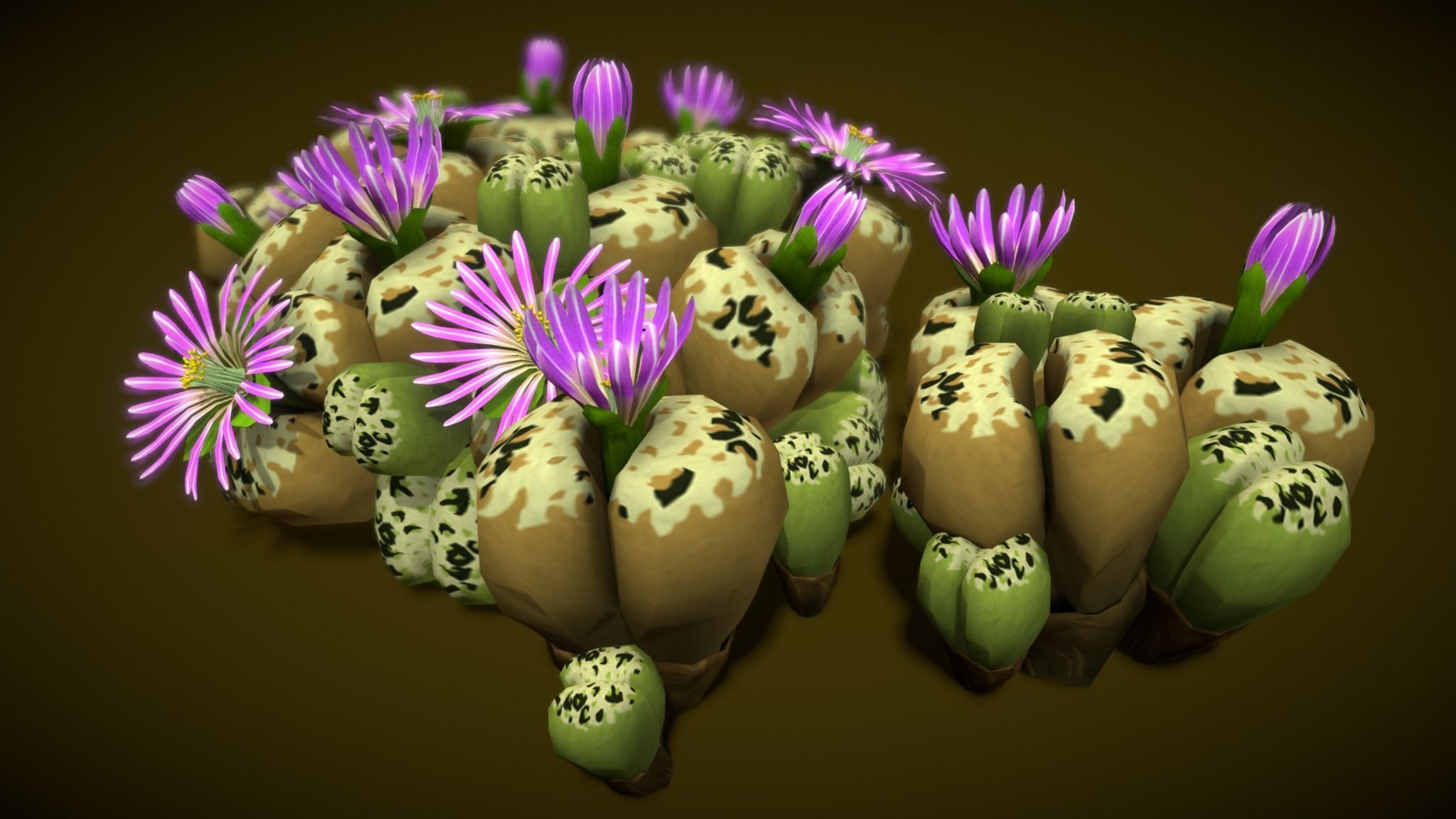 Flower Lithops 3D model_6