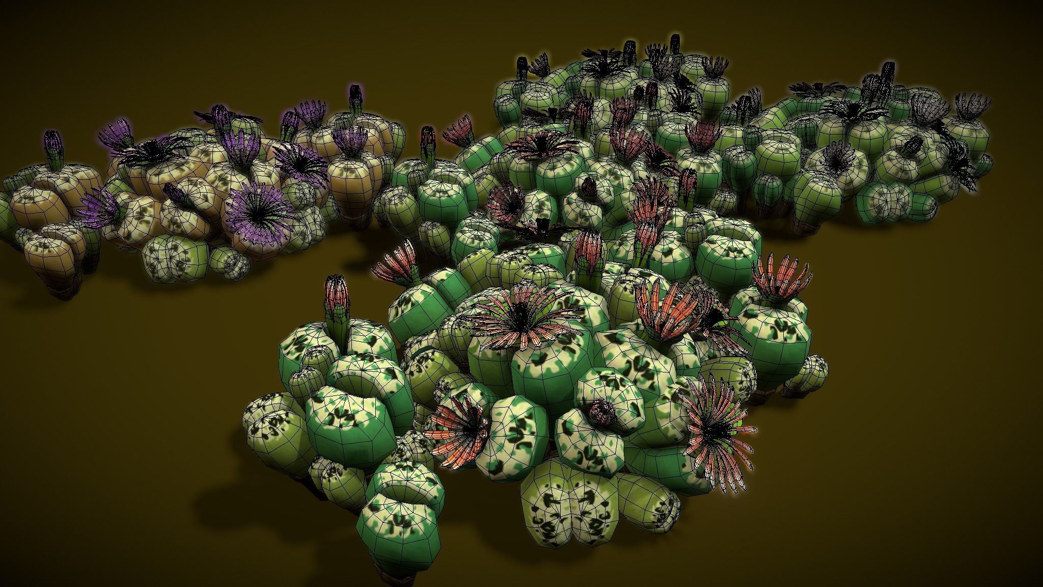 Flower Lithops 3D model_1