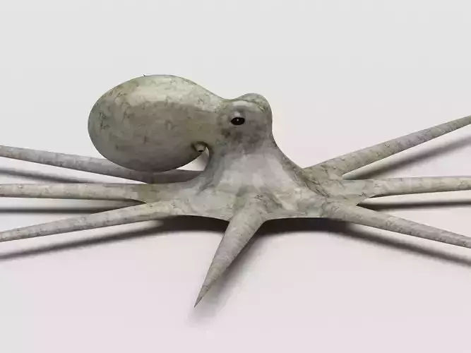 Octopus Devilfish Low-poly 3D model