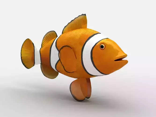 Clownfish Amphiprioninae Nemo Low-poly 3D model