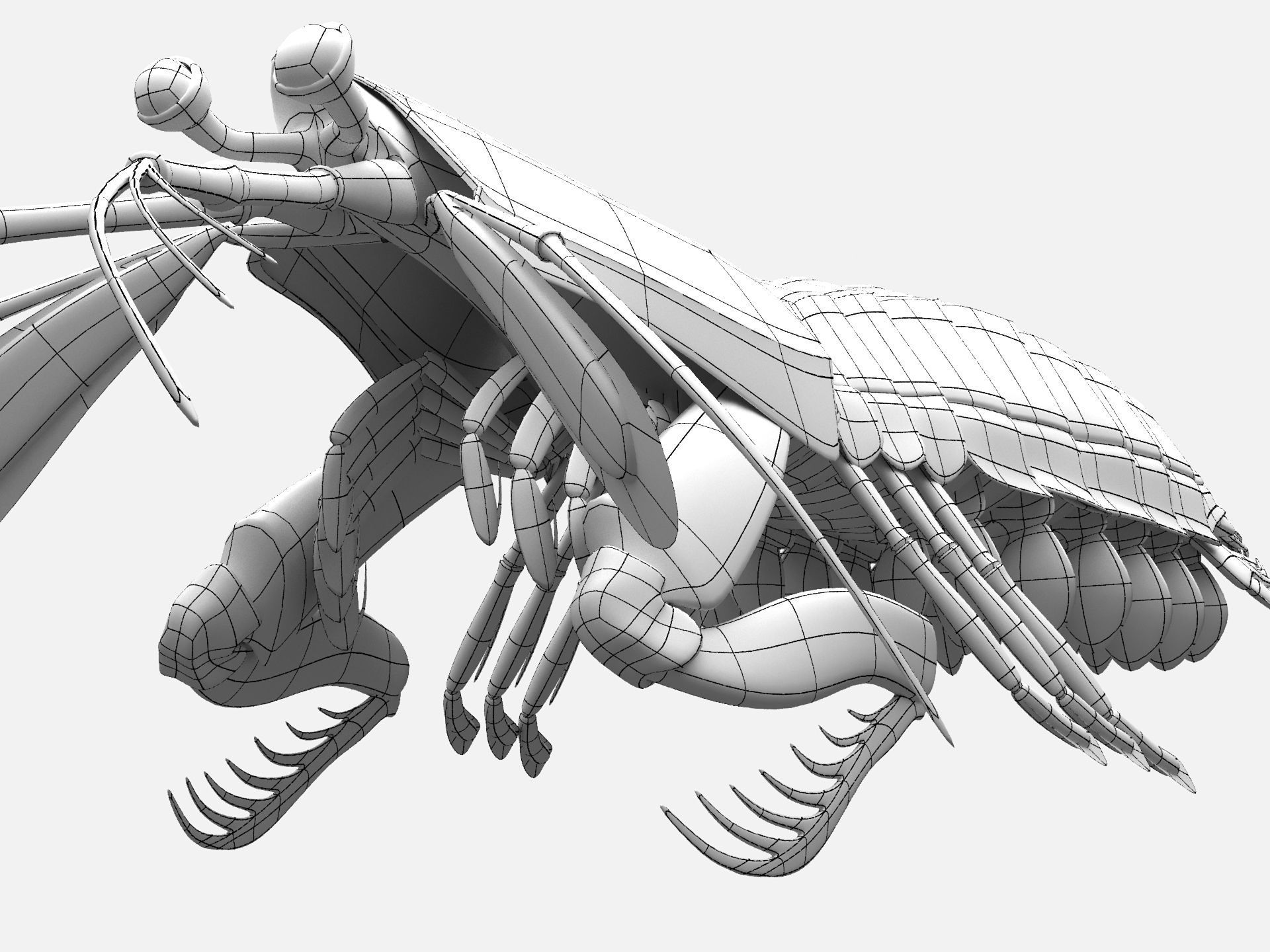 Mantis Shrimp Squill Low-poly 3D model_6