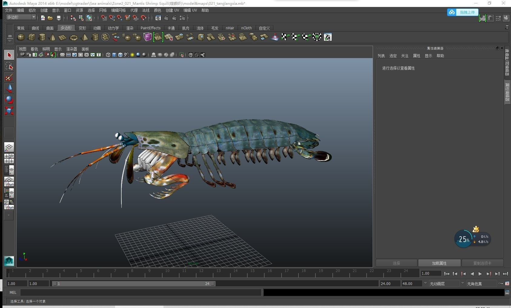 Mantis Shrimp Squill Low-poly 3D model_11