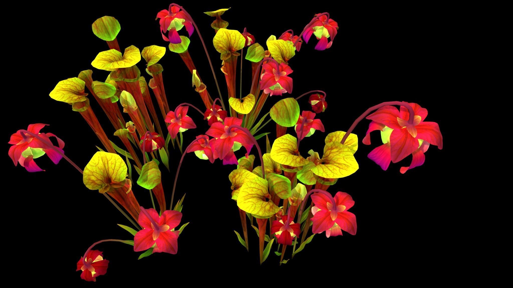 Flower Green Pitcher 3D model_12