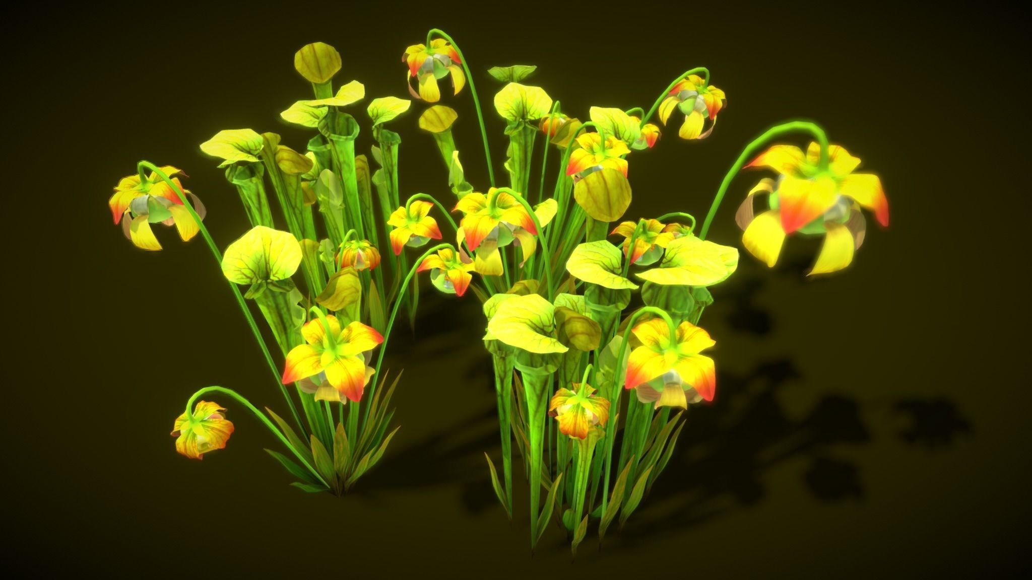 Flower Green Pitcher 3D model_8