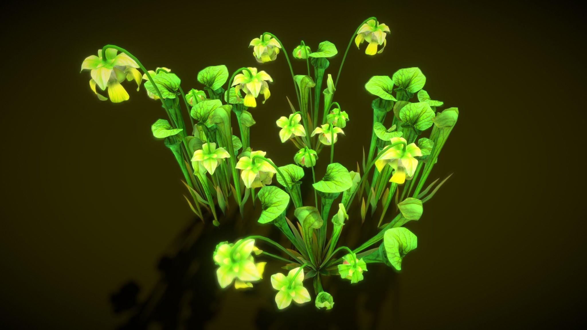 Flower Green Pitcher 3D model_11