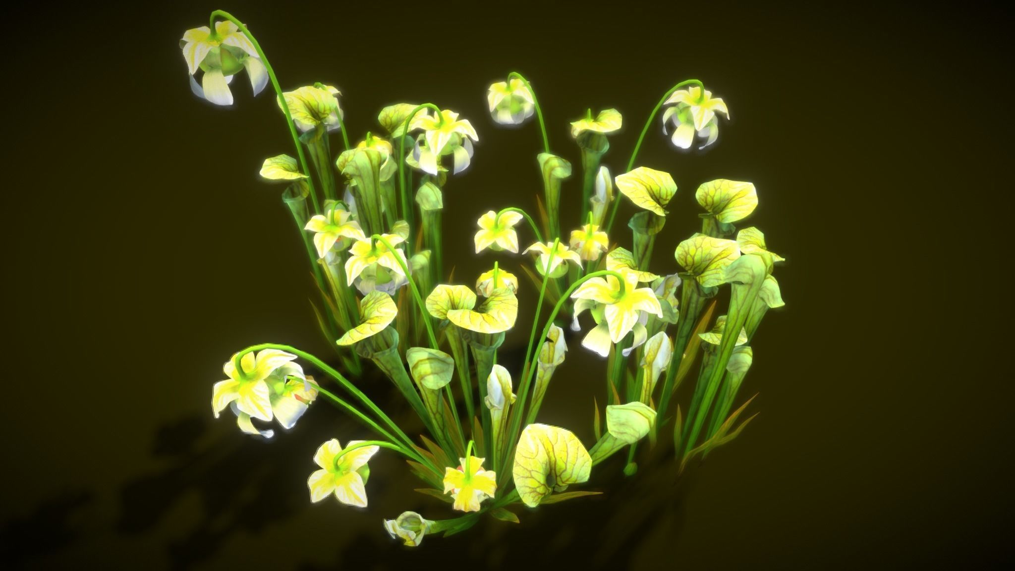 Flower Green Pitcher 3D model_10