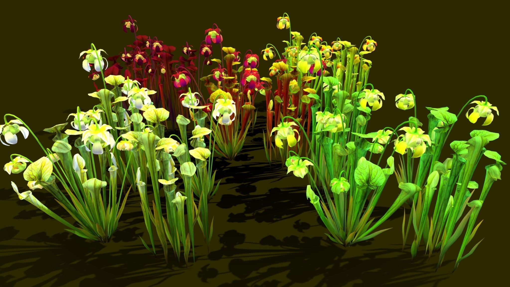 Flower Green Pitcher 3D model_6