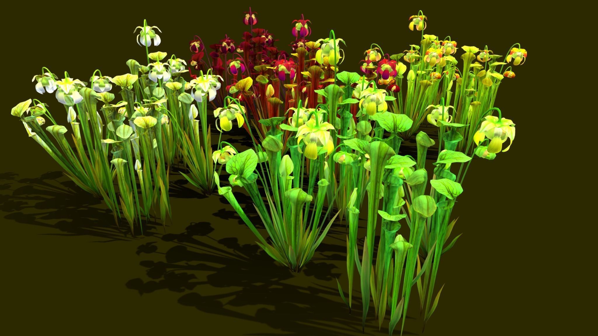 Flower Green Pitcher 3D model_3
