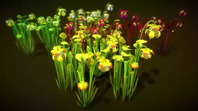 Flower Green Pitcher 3D model