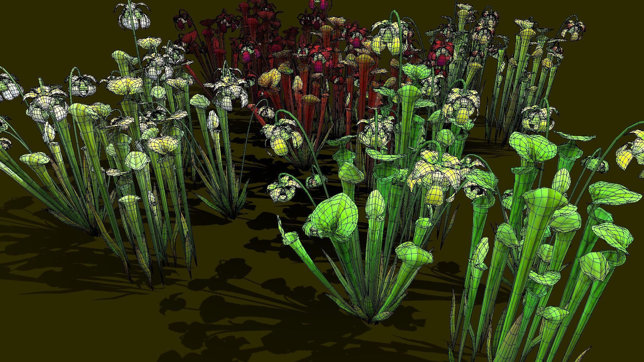 Flower Green Pitcher 3D model_1