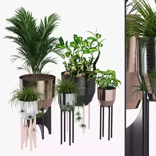 Yield set of potted plants