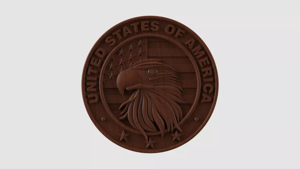 USA Eagle Medal 3D print model_0