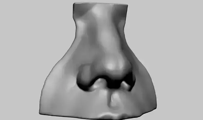 Nose Model 3D print model