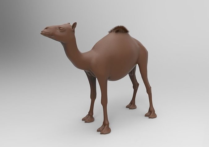 camel 3D print model