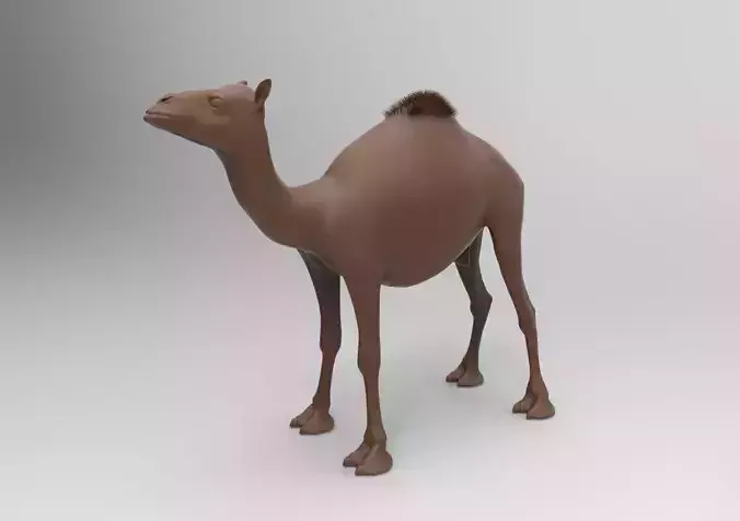camel 3D print model