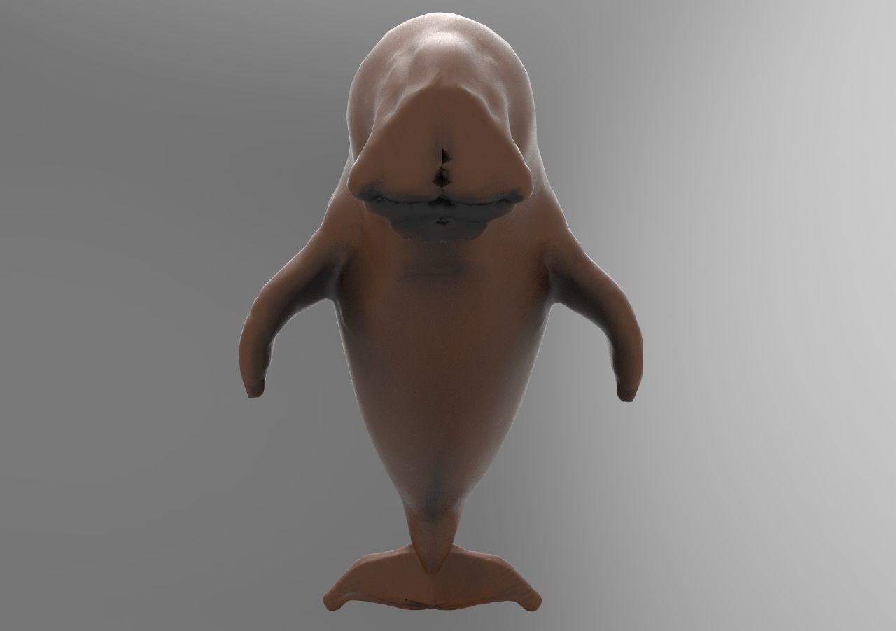 Fur seal 3D print model_4