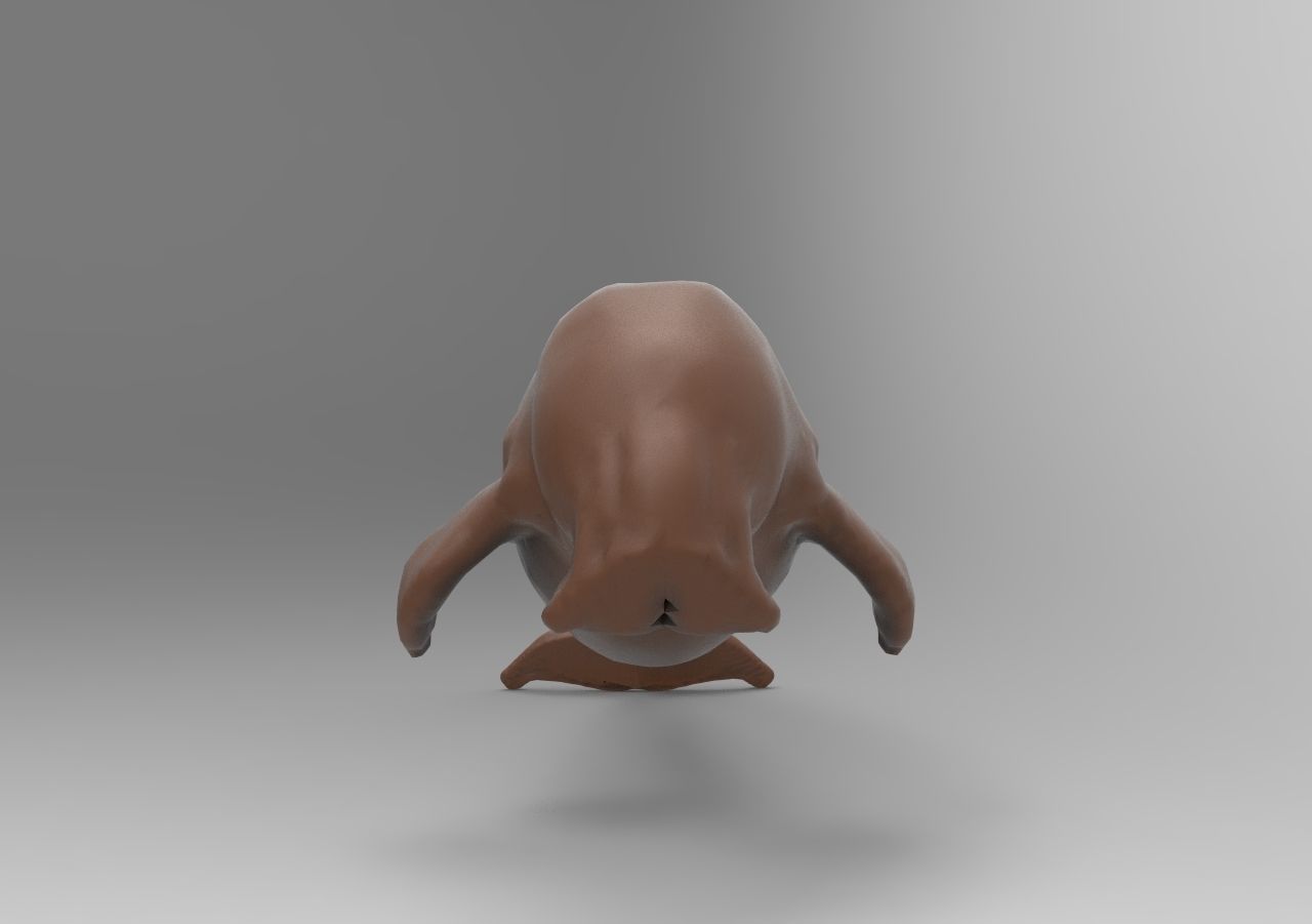 Fur seal 3D print model_1