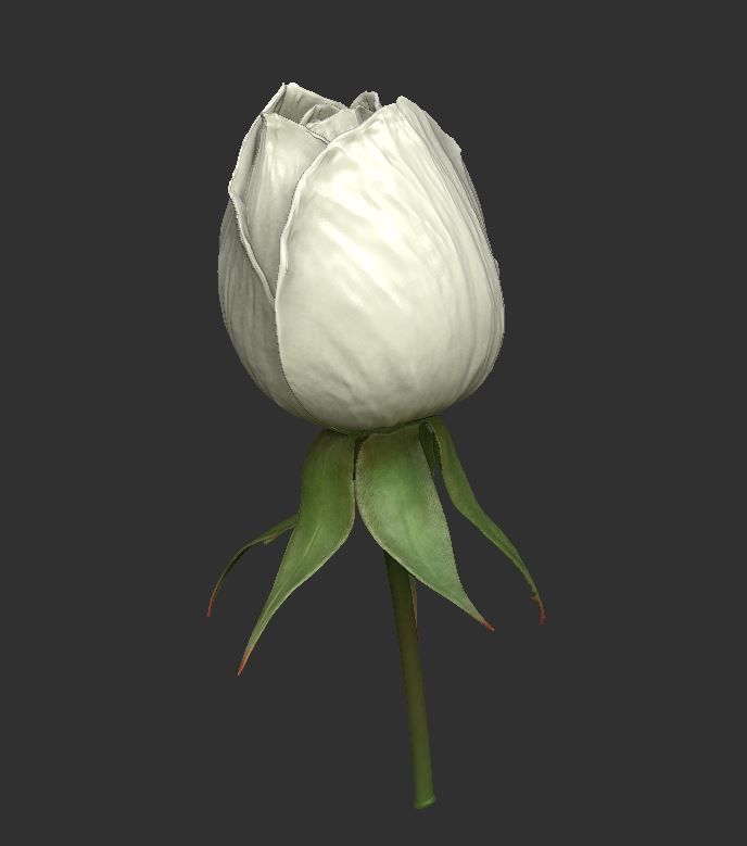 Rose LaerZ  Zbrush tool  Low-poly 3D model_7