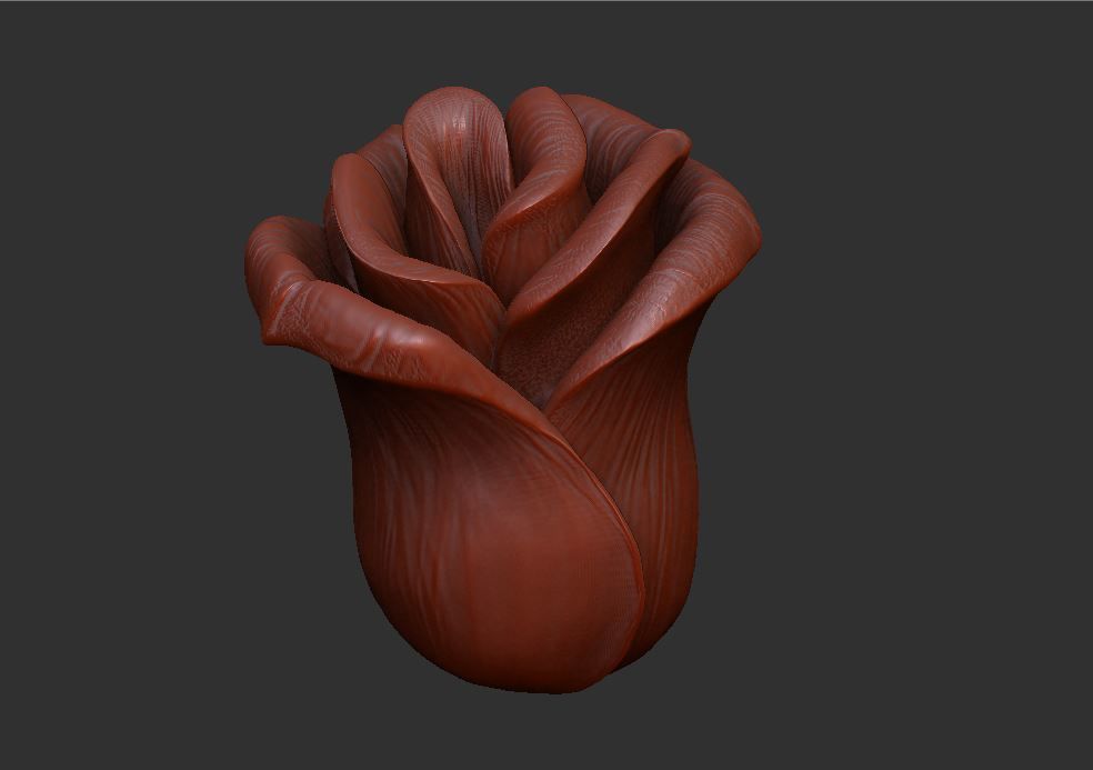 Rose LaerZ  Zbrush tool  Low-poly 3D model_20