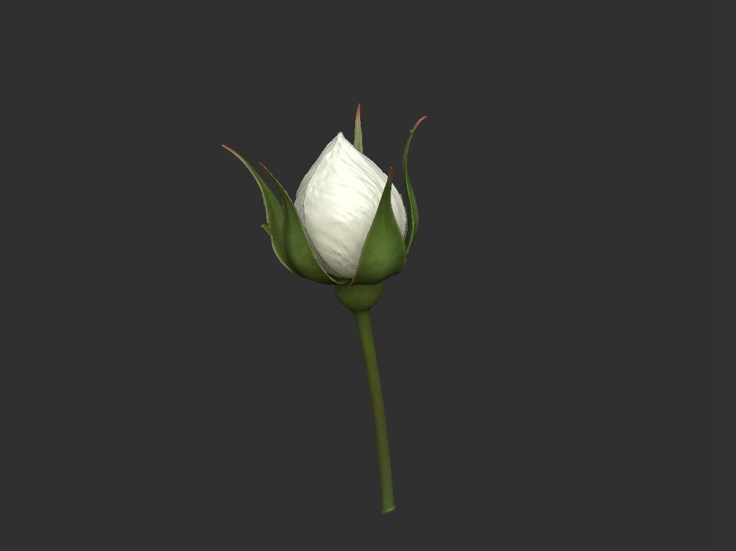 Rose LaerZ  Zbrush tool  Low-poly 3D model_5