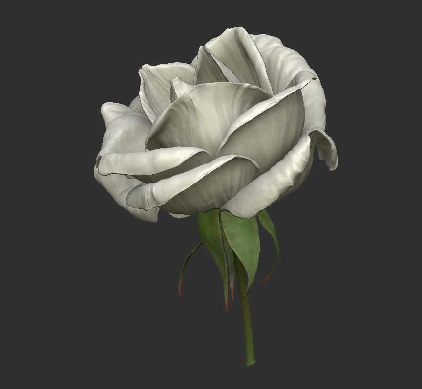 Rose LaerZ  Zbrush tool  Low-poly 3D model_9