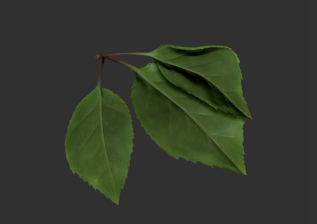 Rose LaerZ  Zbrush tool  Low-poly 3D model_15