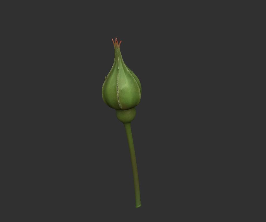 Rose LaerZ  Zbrush tool  Low-poly 3D model_4