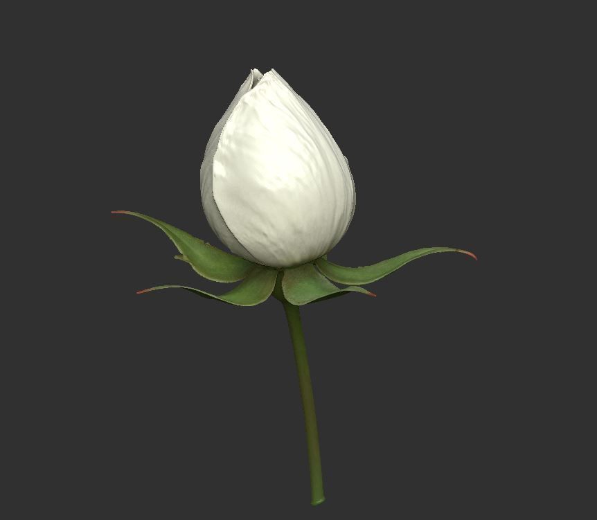 Rose LaerZ  Zbrush tool  Low-poly 3D model_6