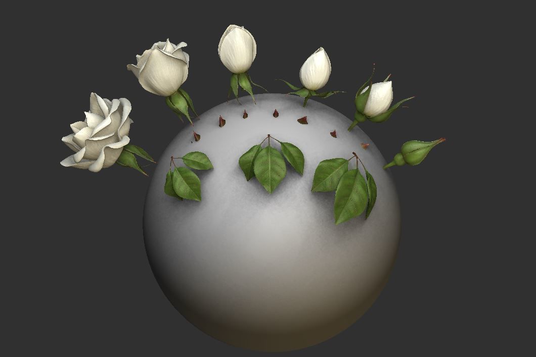 Rose LaerZ  Zbrush tool  Low-poly 3D model_13