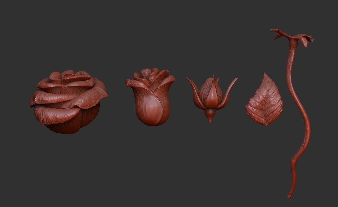 Rose LaerZ  Zbrush tool  Low-poly 3D model_18