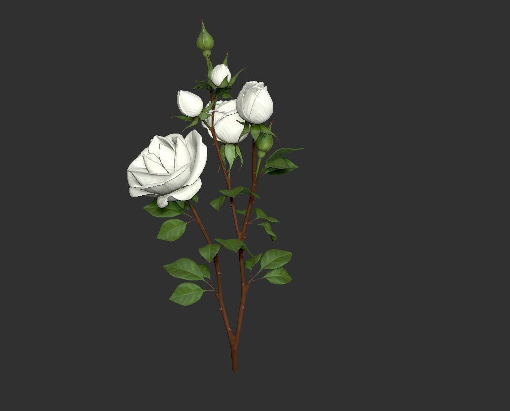 Rose LaerZ  Zbrush tool  Low-poly 3D model_10