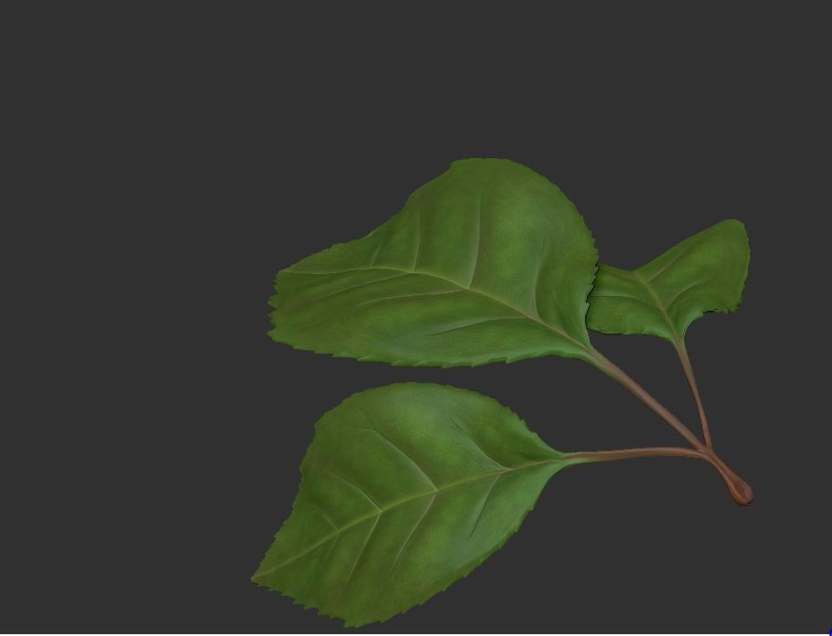 Rose LaerZ  Zbrush tool  Low-poly 3D model_16