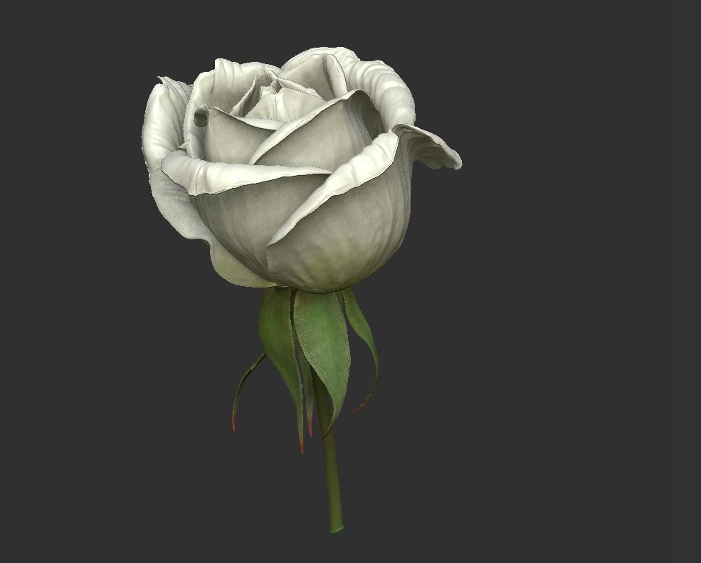 Rose LaerZ  Zbrush tool  Low-poly 3D model_8