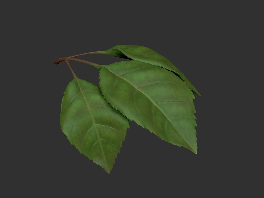 Rose LaerZ  Zbrush tool  Low-poly 3D model_14