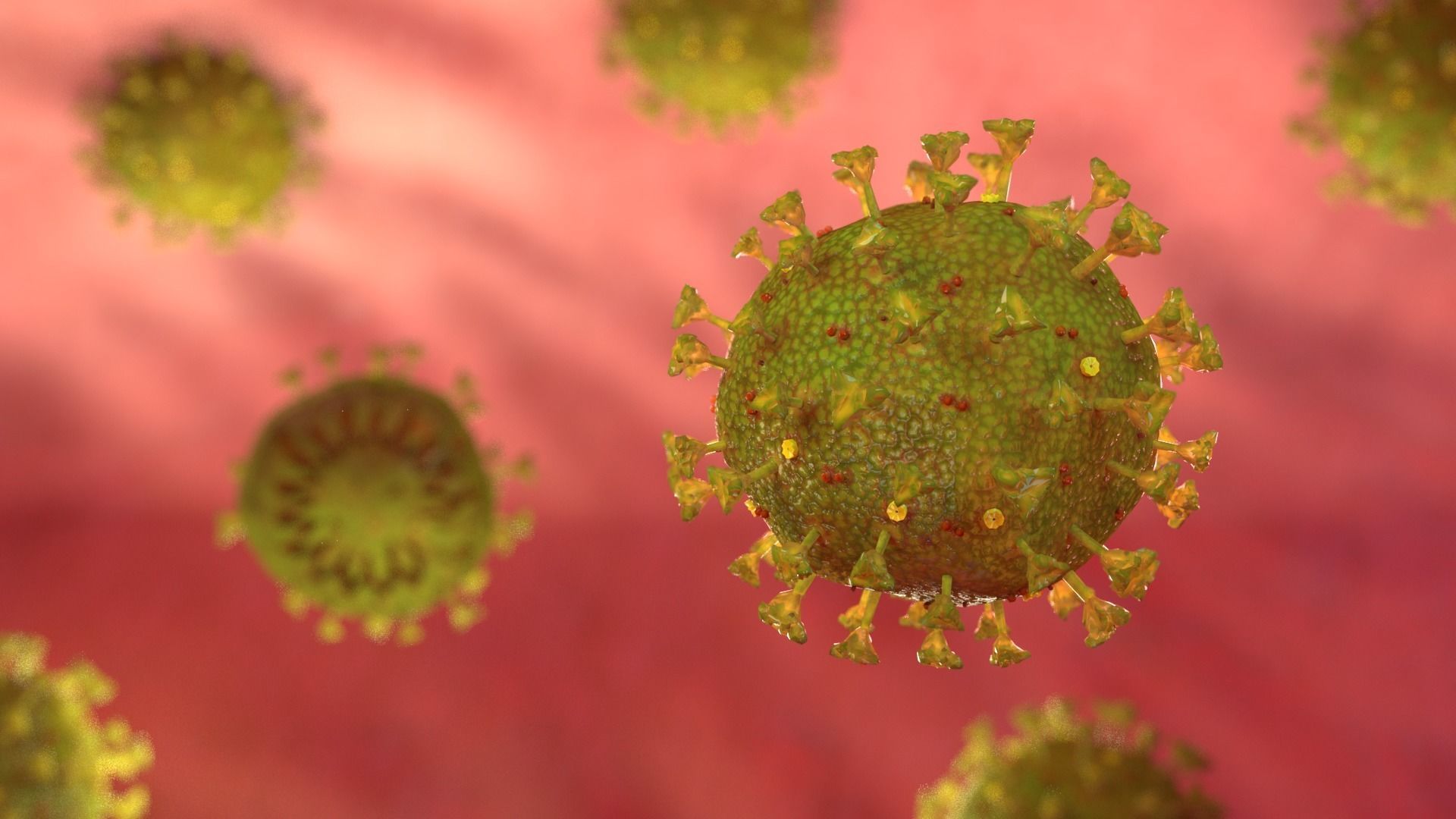 Coronavirus SARS CoV 2 Low-poly 3D model_2