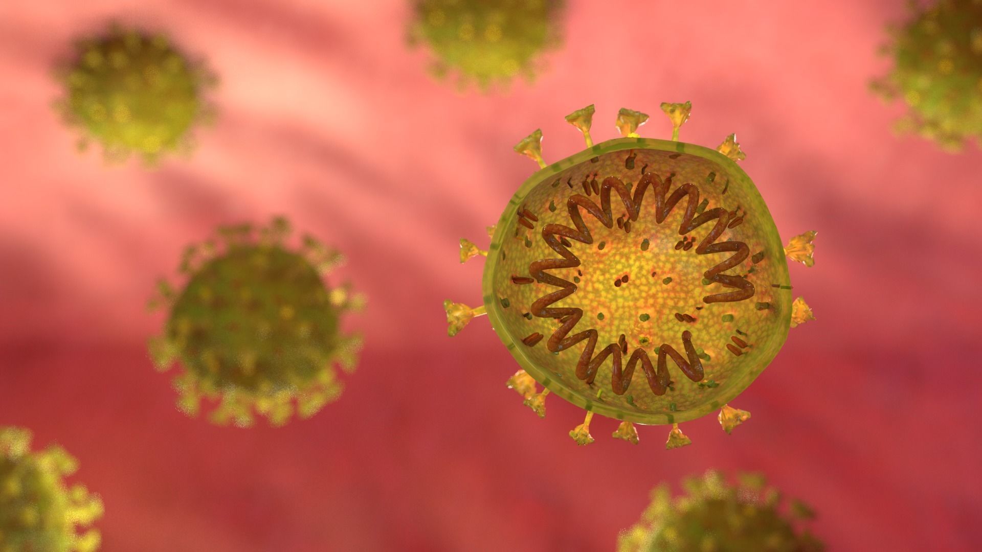 Coronavirus SARS CoV 2 Low-poly 3D model_3