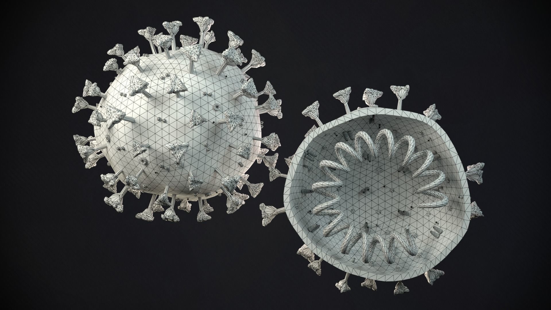 Coronavirus SARS CoV 2 Low-poly 3D model_4