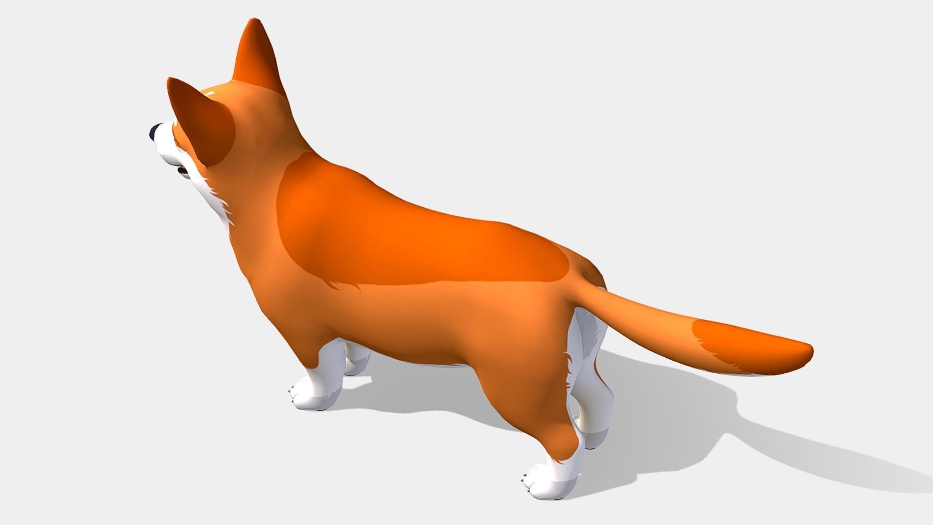 Cartoon Dog - Corgi Low-poly 3D model_5