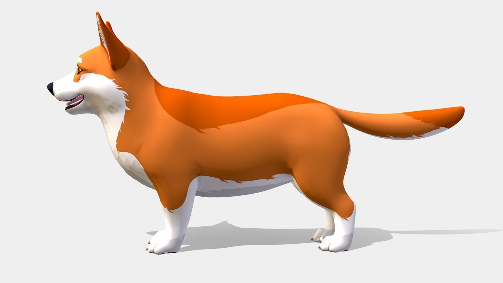 Cartoon Dog - Corgi Low-poly 3D model_4