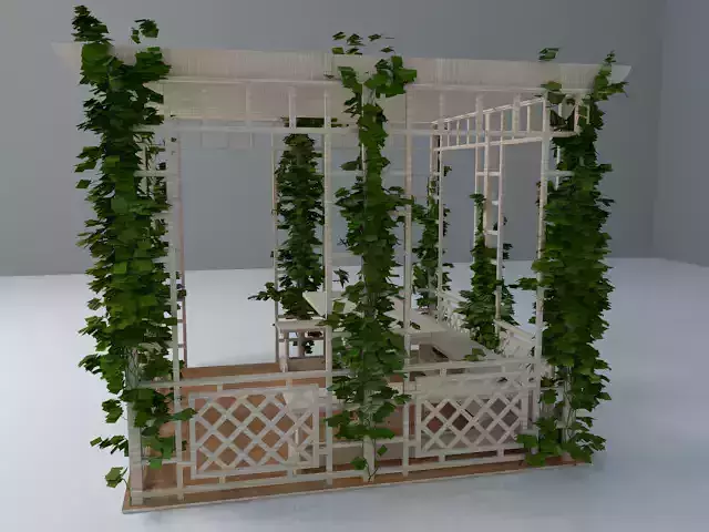 Pergola wooden with vines growing