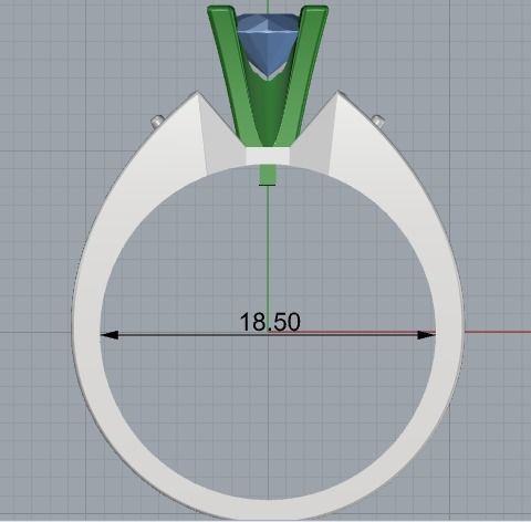 Female ring 17 3D print model_1